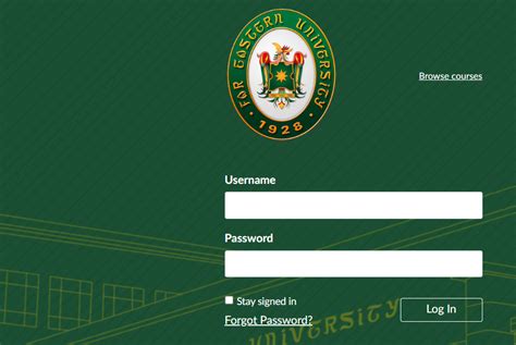 feu tech portal|Log In to Canvas .